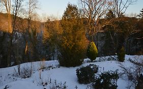 Spacious Apartment in Manderscheid Germany near Forest